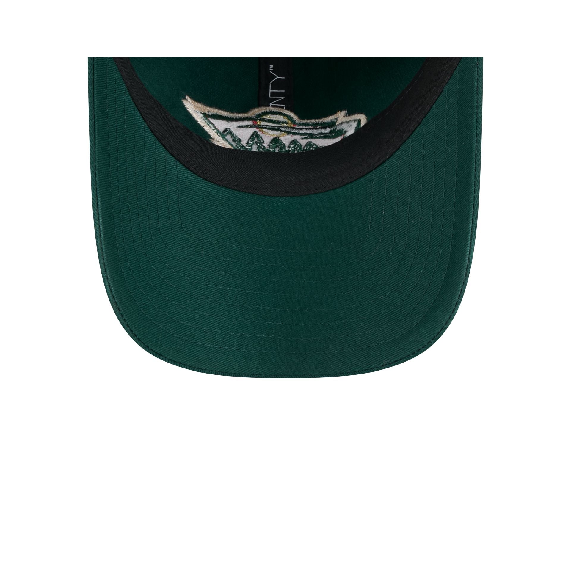 Minnesota Wild Team Tag 9TWENTY Adjustable Hat - Image 7