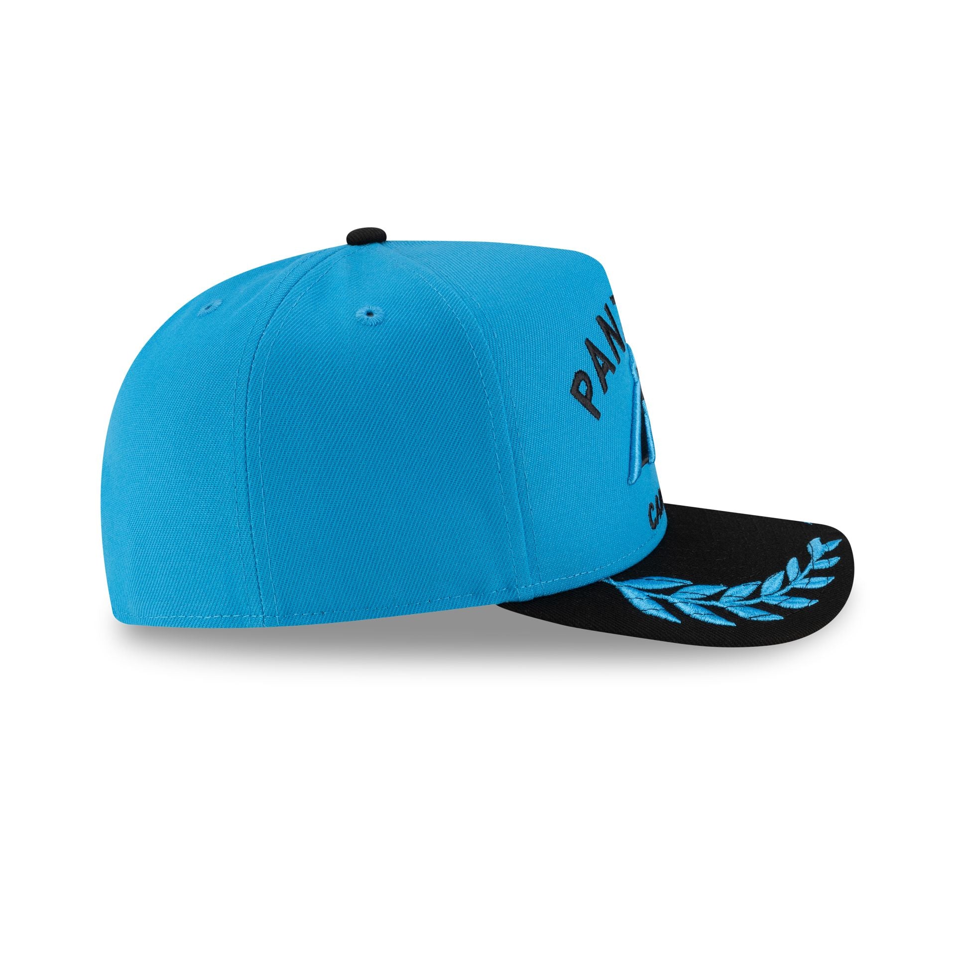 Carolina Panthers 2025 Draft 59FIFTY A-Frame Fitted Hat - Image 5