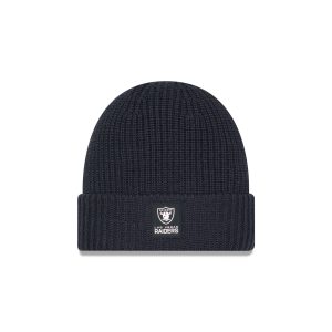 Las Vegas Raiders 2025 Sideline Cold Weather Steel Clouds Cuff Knit Beanie